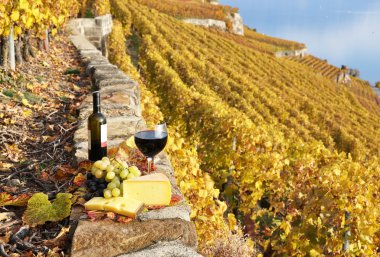 Wine, grapes and cheese against vineyards in Lavaux region, Swit clipart
