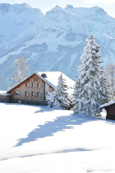 Braunwald, ünlü İsviçreli Kayak tesisi — Stok fotoğraf