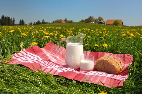 Jug of milk and bread on the spring meadow. Emmental region, Swi — Stock Photo, Image