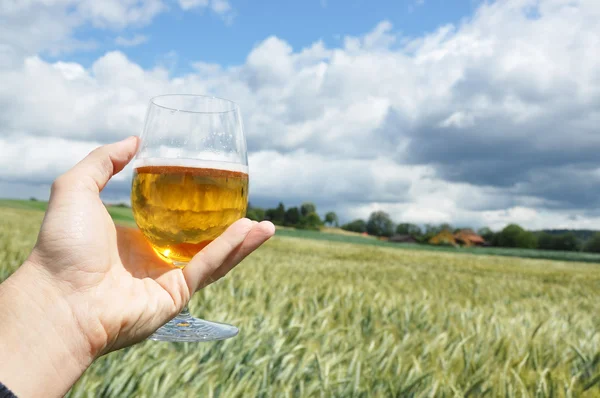 Glass of beer in the hand against barley ears — Stock Photo, Image