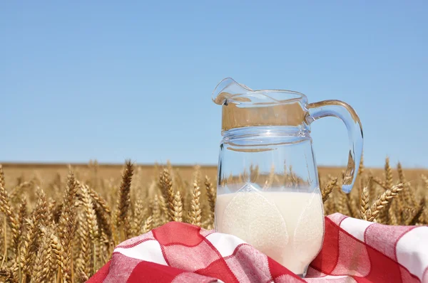 Jug of milk against wheat field — Stock Photo, Image