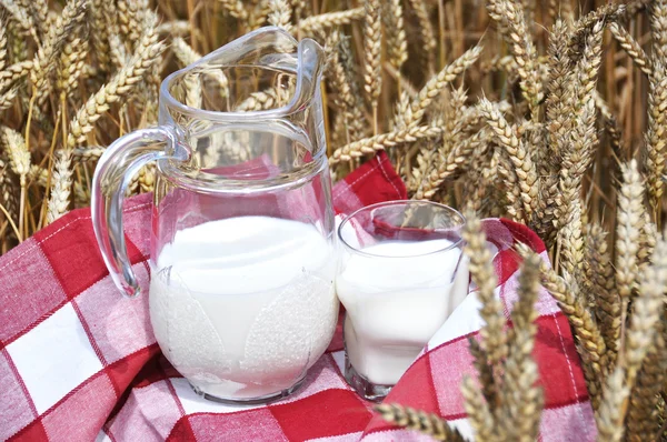 Caraffa di latte tra spighe di grano — Foto Stock