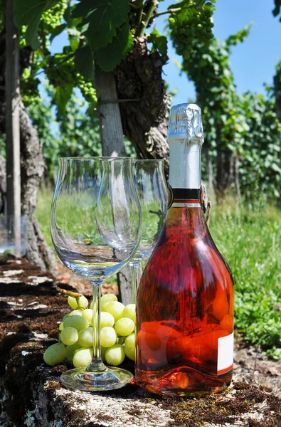 Bottiglia di champagne, paio di bicchieri e uva contro vigneto — Foto Stock