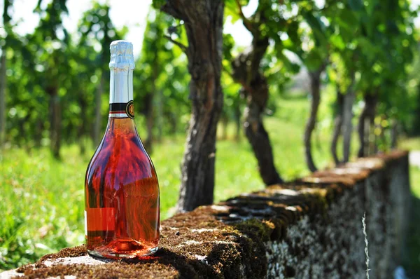 Бутылка шампанского против виноградников — стоковое фото