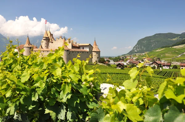 Chateau d'aigle, Suiza — Stock fotografie