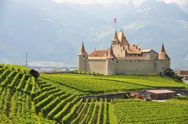 Chateau d'aigle, Suiza — Stock fotografie