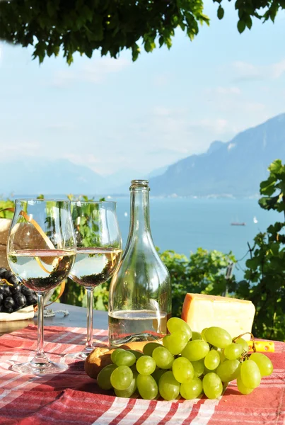Şarap ve üzüm karşı Cenevre Gölü. Lavaux bölge, İsviçre — Stok fotoğraf