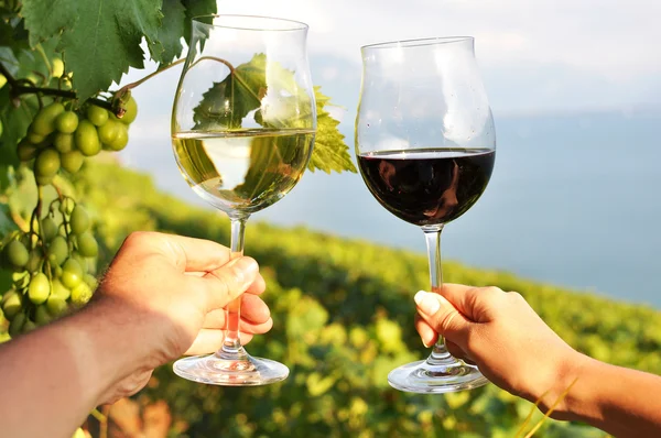 Δύο χέρια που κρατούν wineglasses κατά τη λίμνη της Γενεύης. περιοχή Lavaux — Φωτογραφία Αρχείου