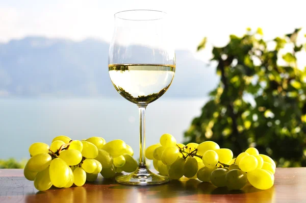 Wineglass and bunch of grapes against Geneva lake. Lavaux region — Stock Photo, Image
