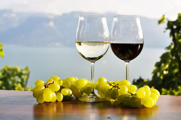 Duas vinhas e uvas contra o lago de Genebra. Região de Lavaux, S — Fotografia de Stock