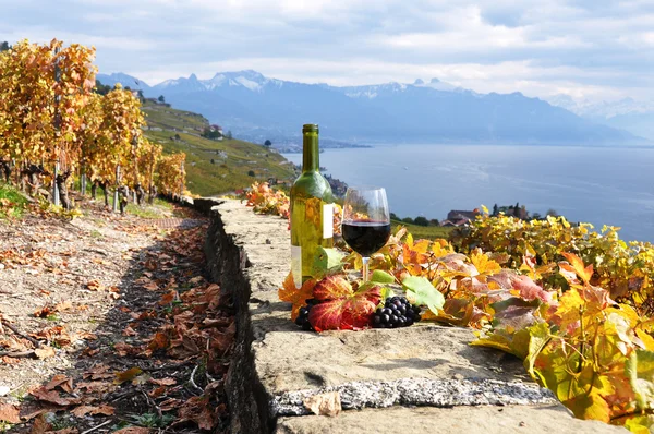 Rode wijn en druiven op het terras van de wijngaard in lavaux-gebied, — Stockfoto