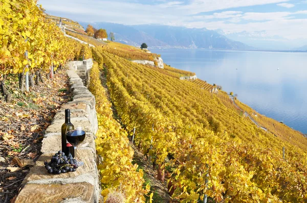 Rode wijn en druiven op het terras van de wijngaard in lavaux-gebied, — Stockfoto