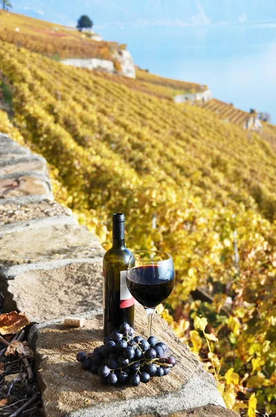 Vino rosso e uva sulla terrazza del vigneto nella regione di Lavaux , — Foto Stock