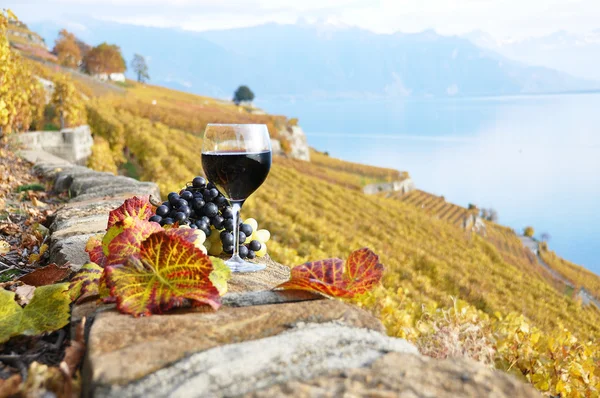 Glas rött vin på vingården terrass i lavaux region, swit — Stockfoto