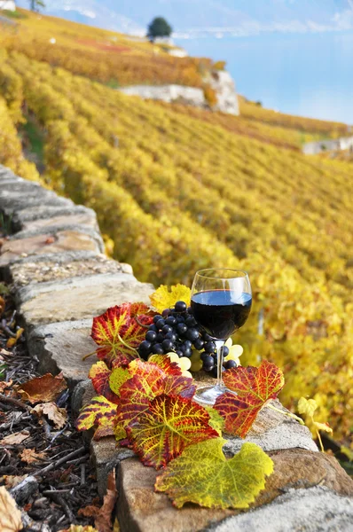 Glass of red wine on the terrace vineyard in Lavaux region, Swit — Stock Photo, Image