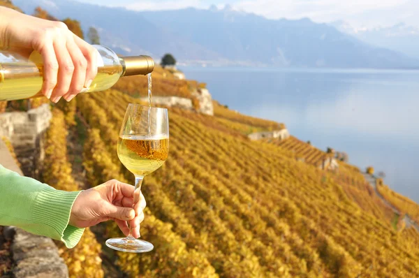 Llenar una copa de vino contra viñedos en la región de Lavaux, Suiza — Foto de Stock