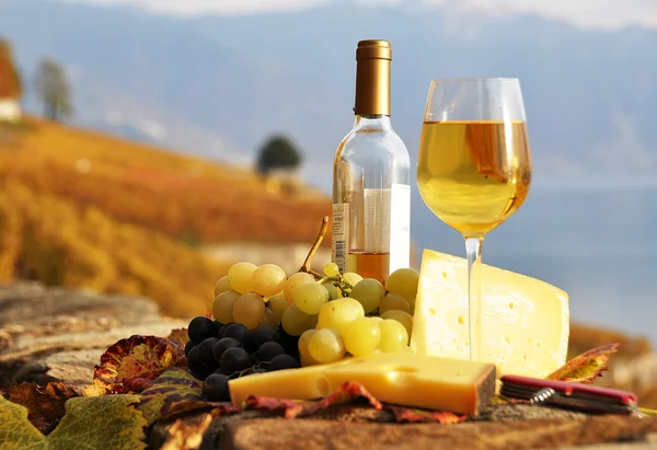 Vino, uvas y queso contra viñedos en la región de Lavaux, Swit — Foto de Stock