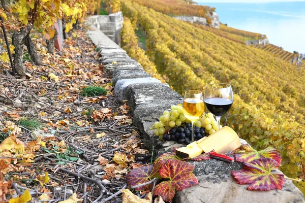 Vinho, uvas e queijo contra vinhas na região de Lavaux, Swit — Fotografia de Stock