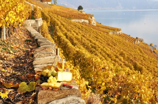 Wine and grapes on the terrace of vineyard in Lavaux region, Swi — Stock Photo, Image