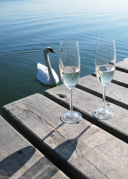 Zwei Sektgläser auf einem Holzsteg gegen einen Schwan — Stockfoto