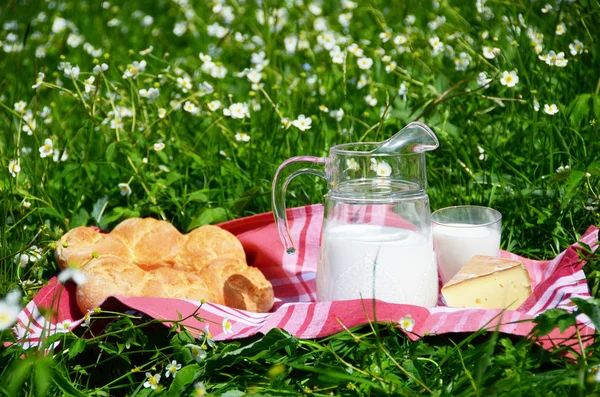 Milk, cheese and bread served at a picnic on Alpine meadow, Swit — Stock Photo, Image