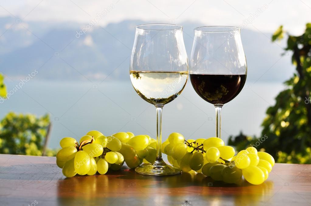 Two wineglasses and grapes against Geneva lake. Lavaux region, S