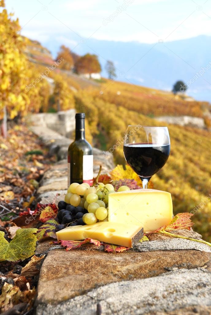 Wine, grapes and cheese against vineyards in Lavaux region, Swit