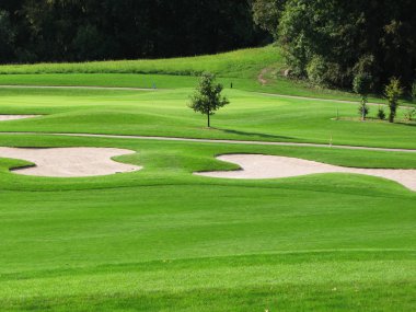 Golf Sahası