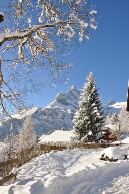 braunwald, ünlü İsviçreli Kayak tesisi