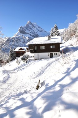 braunwald, ünlü İsviçreli Kayak tesisi