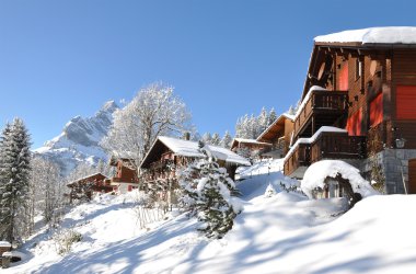 braunwald, ünlü İsviçreli Kayak tesisi