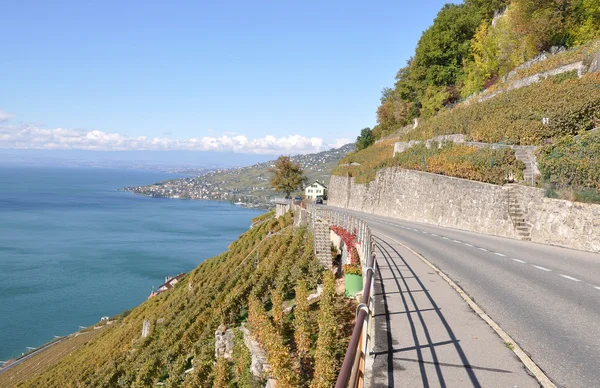 Région Lavaux au Lac Léman, Suisse — Photo