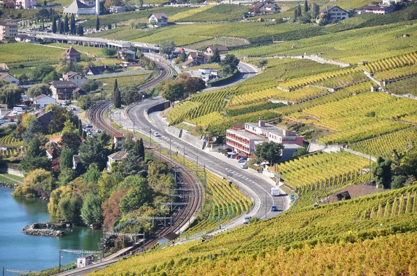 Vigneti nella regione di Lavaux al lago di Ginevra, Svizzera — Foto Stock