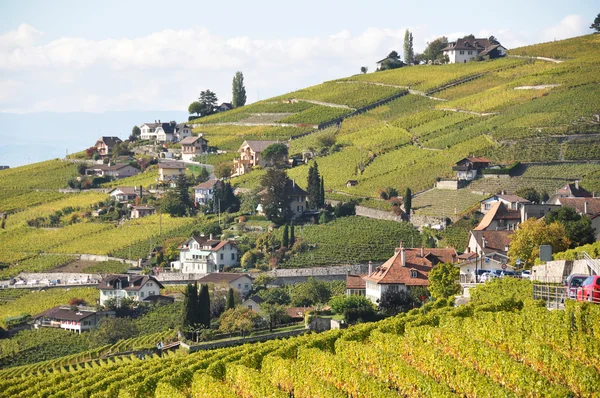 Winnice w regionie lavaux w lake geneva, Szwajcaria — Zdjęcie stockowe