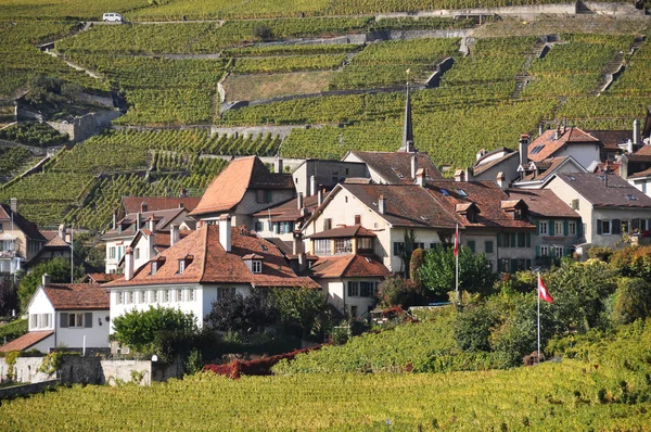 Vineyards in Lavaux region at Geneva lake, Switzerland — Stock Photo, Image
