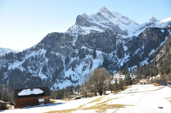 Frühling in den Alpen. ortstock mount, Schweiz — Stockfoto