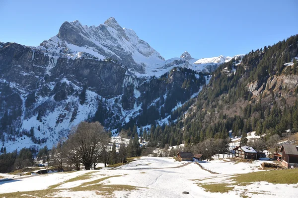 Jaro v Alpách. ortstock mount, Švýcarsko — Stock fotografie