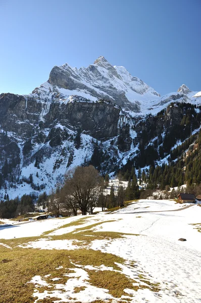 Frühling in den Alpen. ortstock mount, Schweiz — Stockfoto