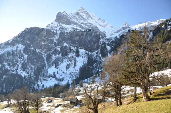 春天在 braunwald，瑞士 — 图库照片