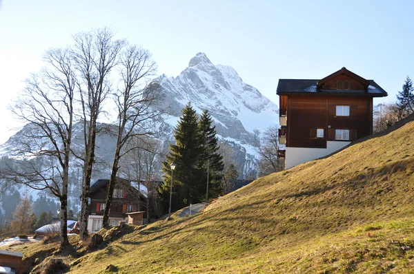 Frühling in den Alpen. ortstock mount, Schweiz — Stockfoto