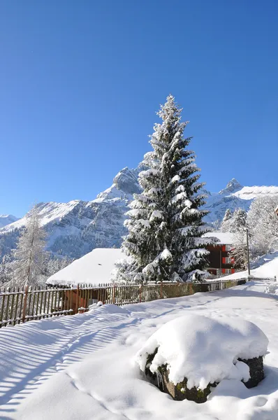 Majestosa vista alpina. Suíça — Fotografia de Stock