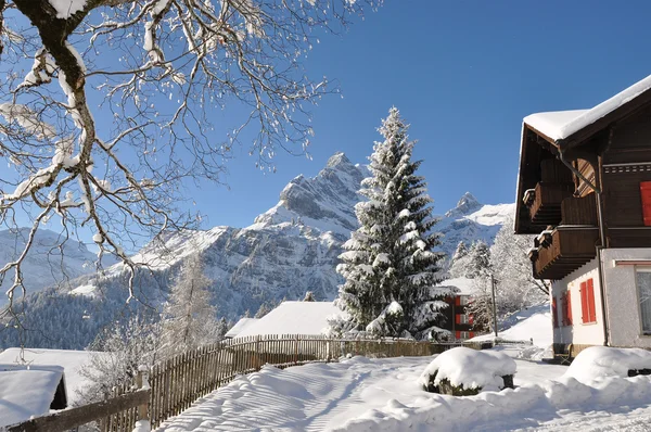 Paisajes alpinos, Braunwald, Suiza —  Fotos de Stock