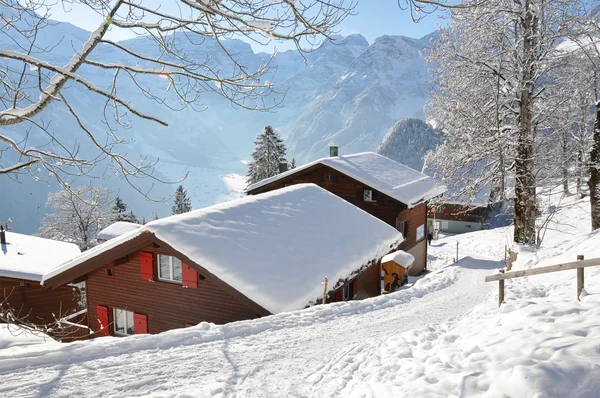 Alpint landskap, braunwald, Schweiz — Stockfoto