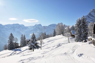 dağ manzarası, braunwald, İsviçre