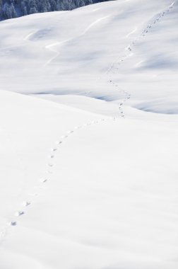 Karda ayak sesleri. braunwald, İsviçre Alpleri