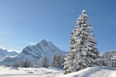 braunwald, İsviçre