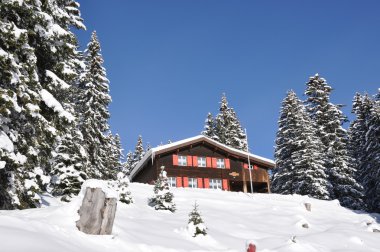 braunwald, ünlü İsviçreli Kayak resort tatil yazlık
