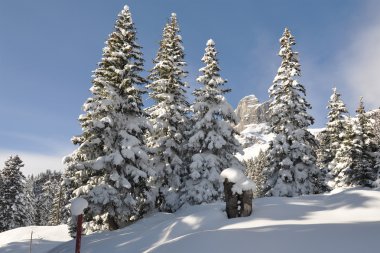 braunwald, ünlü İsviçreli Kayak tesisi