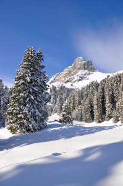 eggstoeke Dağı 2449m. braunwald, İsviçre