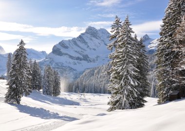 braunwald, ünlü İsviçreli Kayak tesisi
